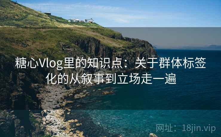 糖心Vlog里的知识点：关于群体标签化的从叙事到立场走一遍  第2张
