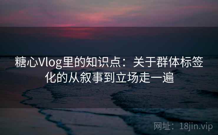 糖心Vlog里的知识点：关于群体标签化的从叙事到立场走一遍  第1张